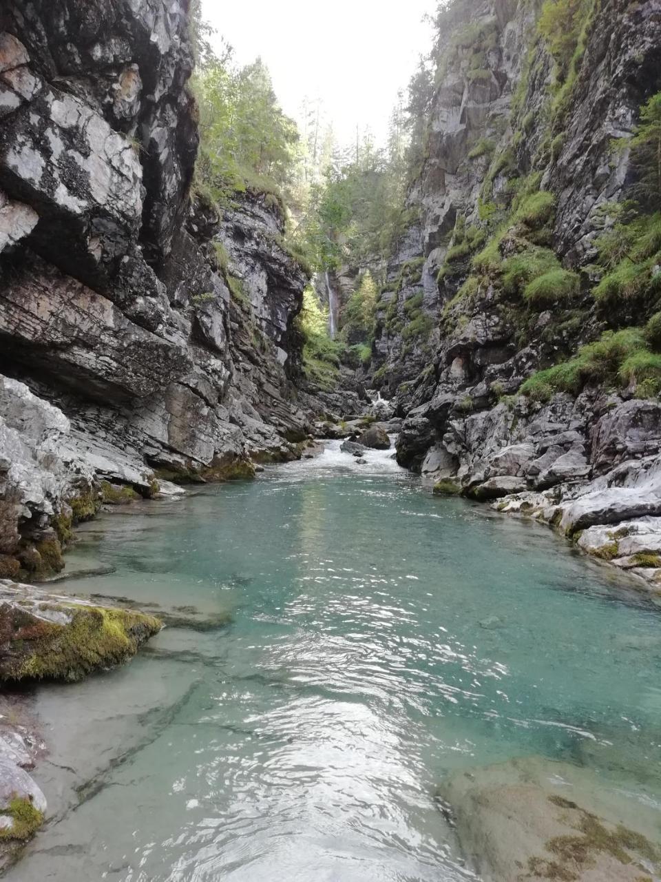 Gaestehaus Alpenblick Берванг Екстериор снимка